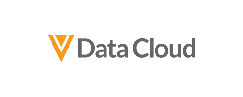 Navigating Complex HCO Hierarchies: Insights from Data Leaders