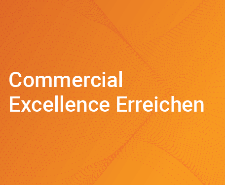 Commercial Excellence Erreichen