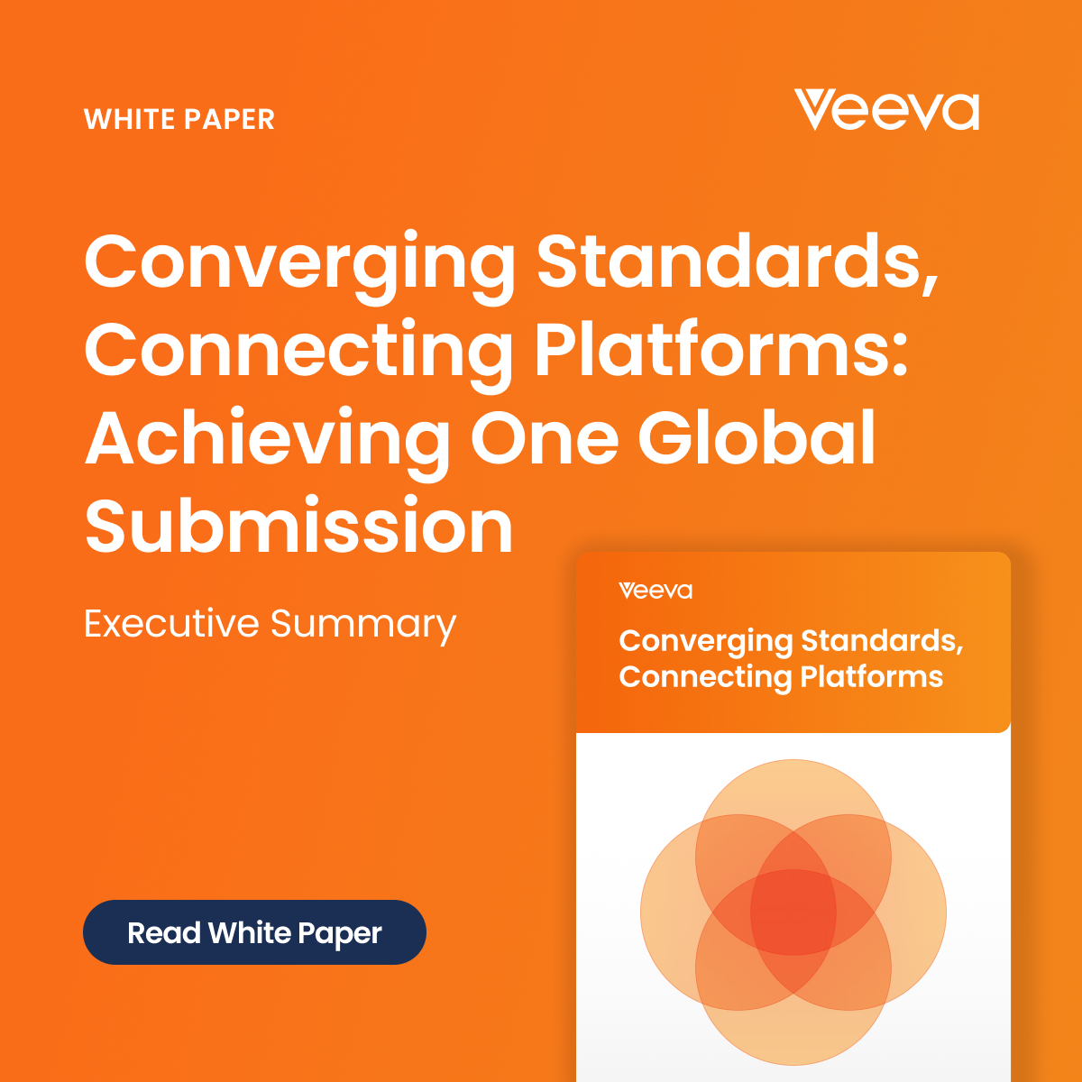 Converging Standards, Connecting Platforms: Achieving One Global ...