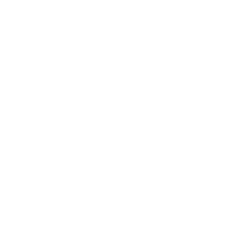 Quick Tip Icon