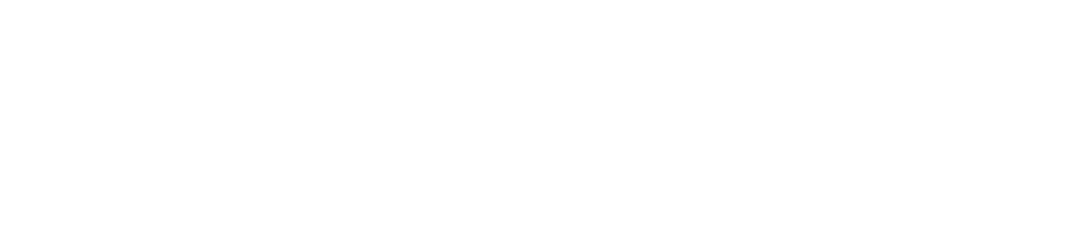Veeva Commercial Summit - MX