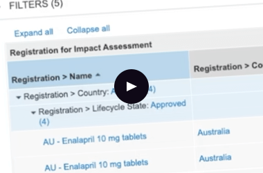 Streamline Global Regulatory Processes