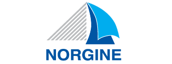 Norgine  Logo