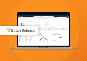 Veeva Batch Release Overview