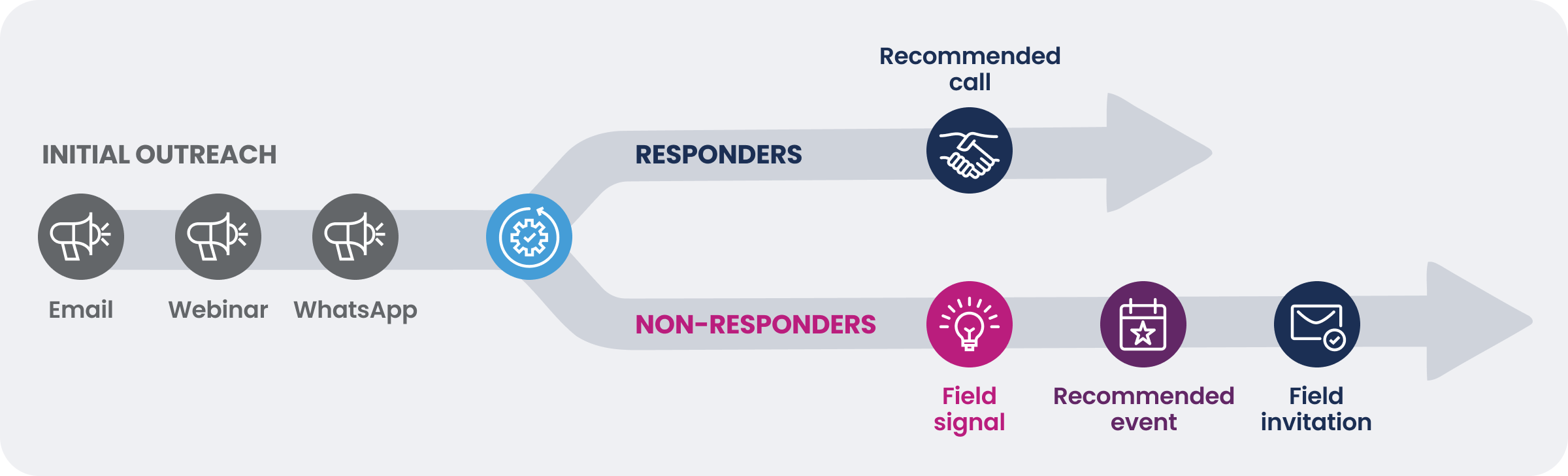 An educational journey for a new brand.