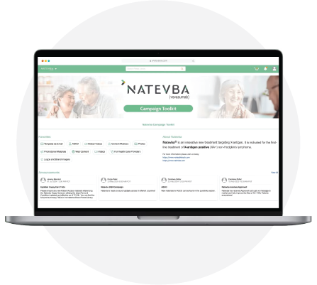 Veeva PromoMats Solution Interface