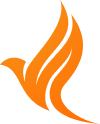 Veeva Falcon