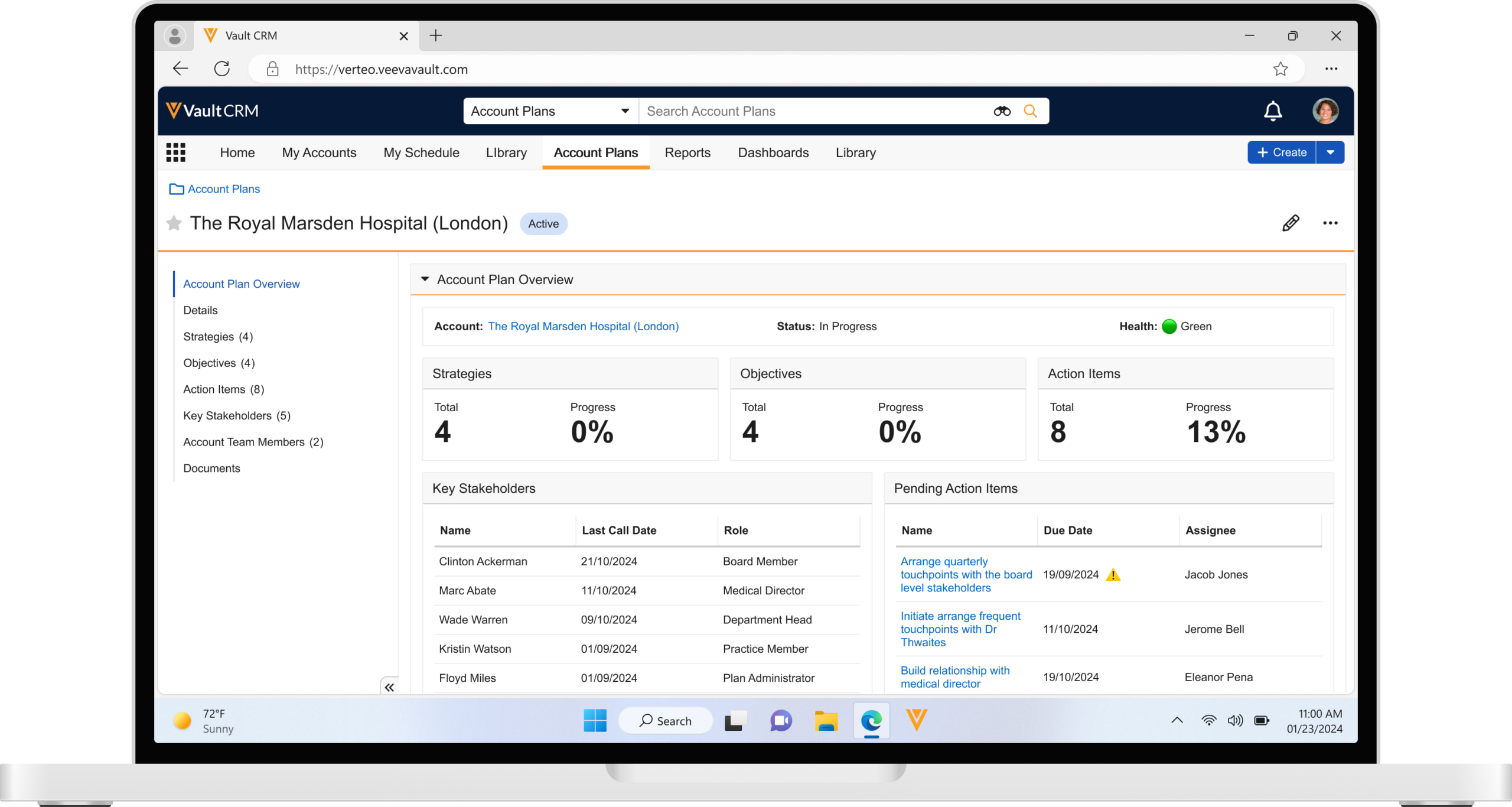 Veeva Vault CRM web application showing the Account Plan dashboard for key account management.
